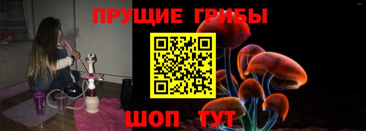 Орск  Галлюциногенные грибы Psilocybine cubensis  Вход с VPN  Галлюциногенные грибы мицелий 